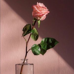 Meet your Posher, Eva